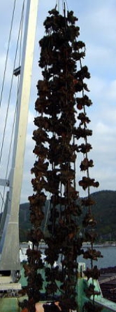2010-10-21_110640.jpg