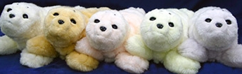 2010-12-24_062922.jpg
